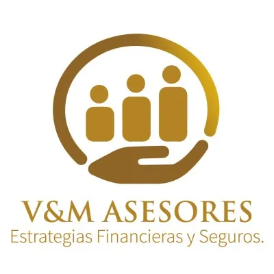 vymasesores.com's icon