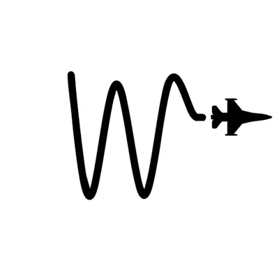 w-controls.com's icon