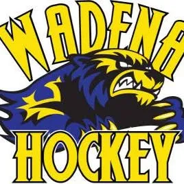 wadena-hockey.com's icon