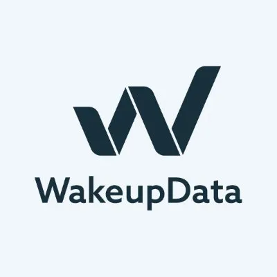 wakeupdata.com's icon