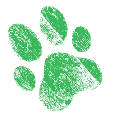 waldenanimalclinic.com's icon