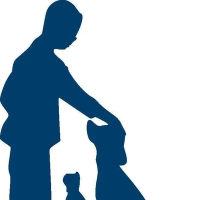 walhallavet.com's icon