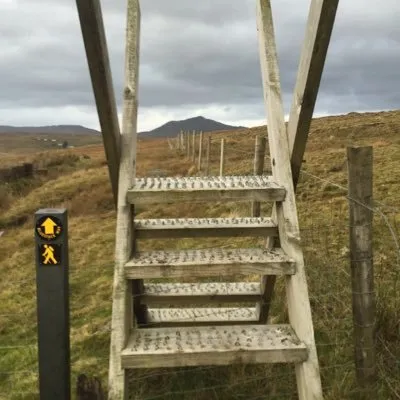 walkinghikingireland.com's icon