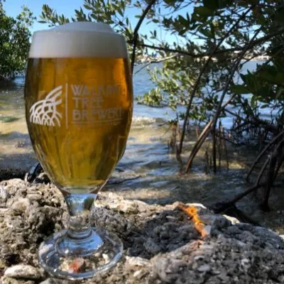 walkingtreebrewery.com's icon