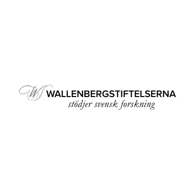 Wallenberg's icon