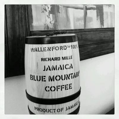 wallenford.com's icon