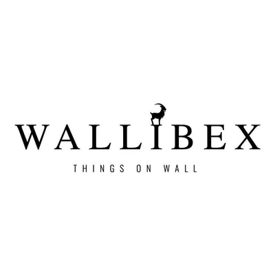 wallibex.com's icon