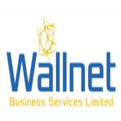 wallnetservices.com's icon