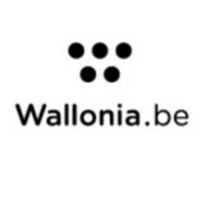 wallonia.hu's icon
