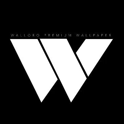 walloro.com's icon