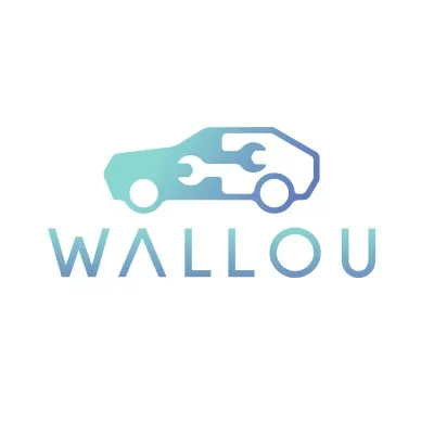 wallougroup.com's icon