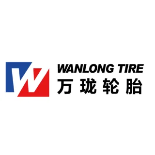 wanlongtire.com's icon