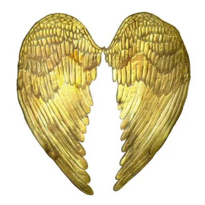 warriorsdivine.com's icon