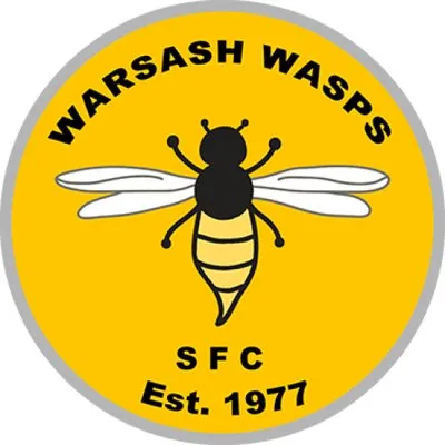 warsashwasps.co.uk's icon