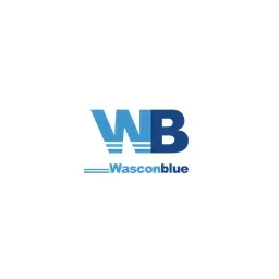  Wasconblue's icon