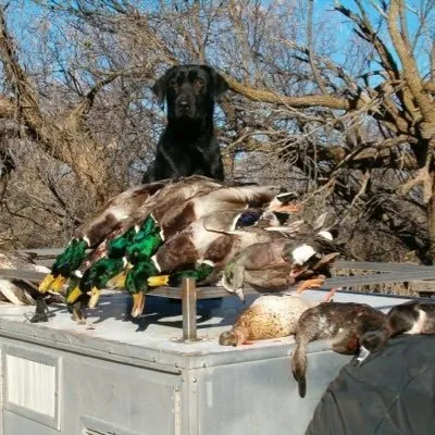 waterfowldecals.com's icon
