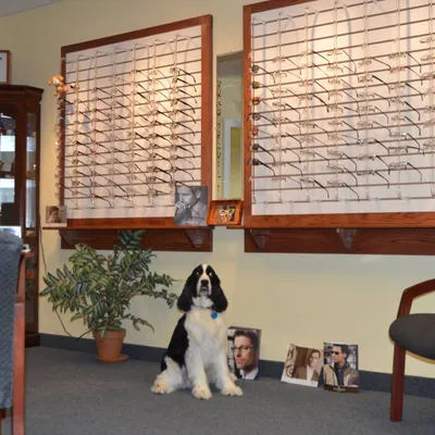 watermaneyecare.com's icon