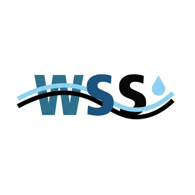 watersolutionssea.com's icon