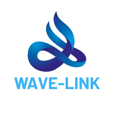 wavelinkpay.com's icon