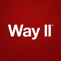 wayll.uz's icon