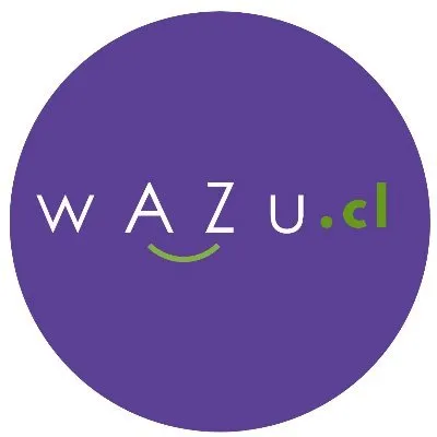 wazu.cl's icon