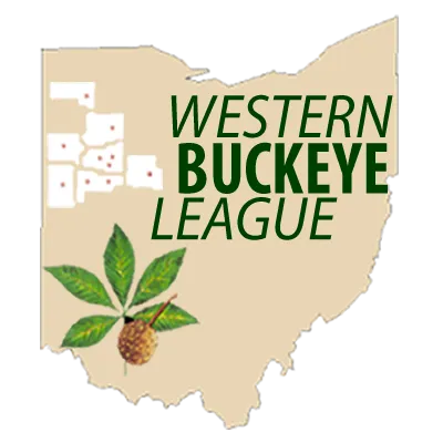 wblsports.com's icon