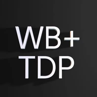 wbtdp.com's icon