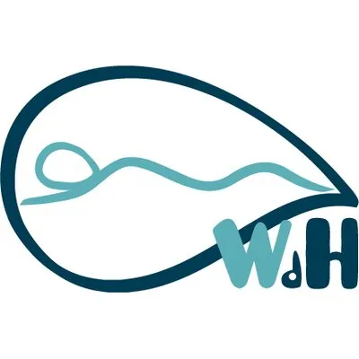 webdelhidromasaje.com's icon