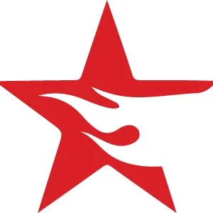webfixstar.com's icon