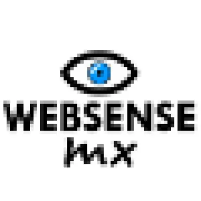 websensemx.com's icon