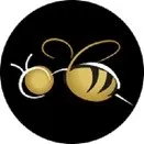 webuzzconex.com's icon