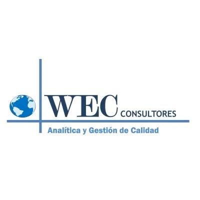 wecconsultores.com.py's icon