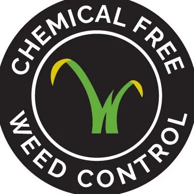 weedtechnics.com's icon