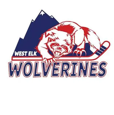 wehockey.org's icon