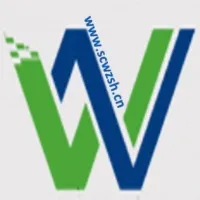 weizhencasting.com's icon