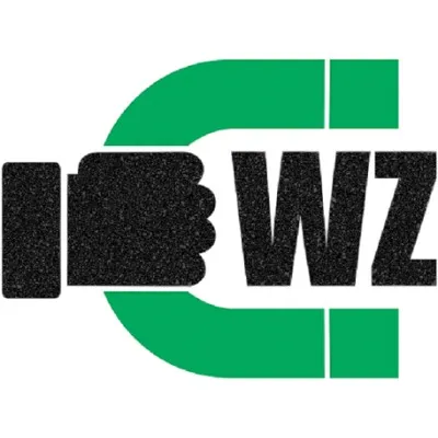 weizhongmagnetics.com's icon