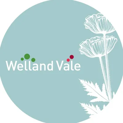 wellandvale.co.uk's icon