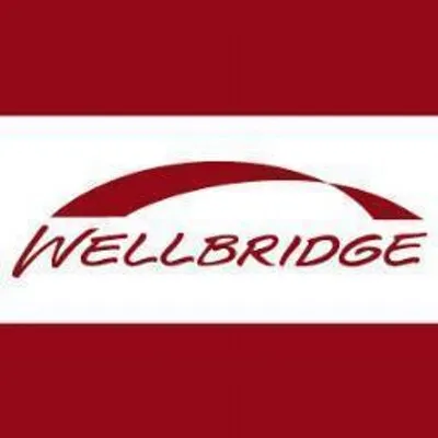 wellbridge.com's icon