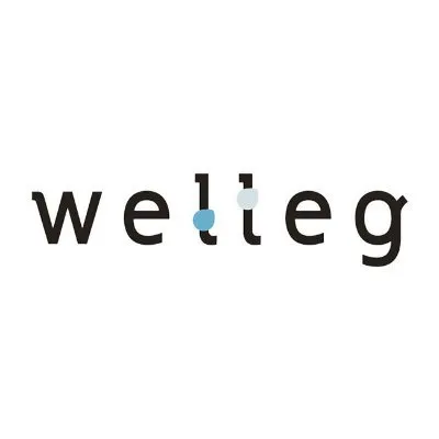 welleg.jp's icon