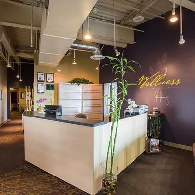 wellnessdenver.com's icon