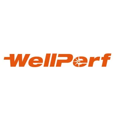 wellperf.com's icon