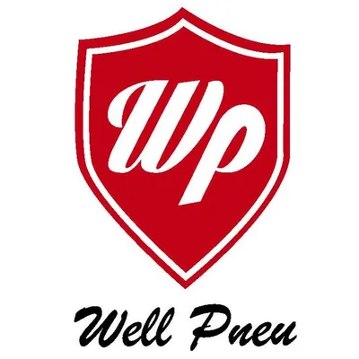 wellpneumatic.com's icon