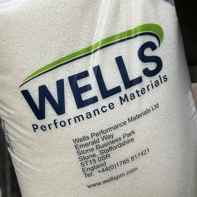wellspm.com's icon