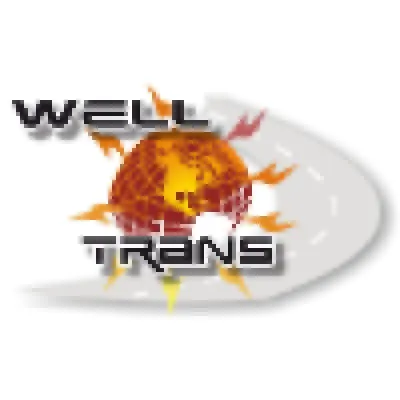 welltrans.hu's icon