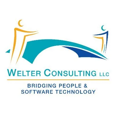welter-consulting.com's icon