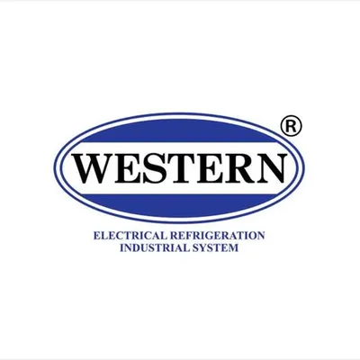 westernvn.com's icon