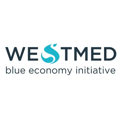 westmed-initiative.eu's icon