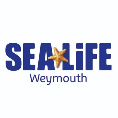 weymouthskyline.com's icon