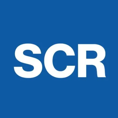 whatsinblue.org's icon
