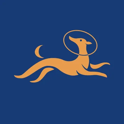 whippetdigital.com's icon